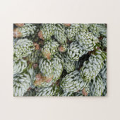 Verbluffende kleren aan Dwarf Koreaans Fir Legpuzzel (Horizontaal)