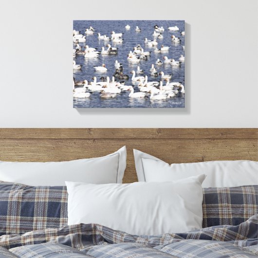 Verbluffende kudde sneeuwganzen bij de strand canvas afdruk (Insitu (Slaapkamer))