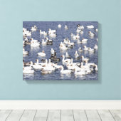 Verbluffende kudde sneeuwganzen bij de strand canvas afdruk (Insitu (Houten vloer))