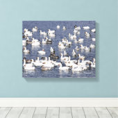 Verbluffende kudde sneeuwganzen bij de strand canvas afdruk (Insitu (Houten vloer))