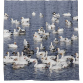 Verbluffende kudde sneeuwganzen bij de strand douchegordijn (Voorkant)
