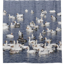 Verbluffende kudde sneeuwganzen bij de strand douchegordijn