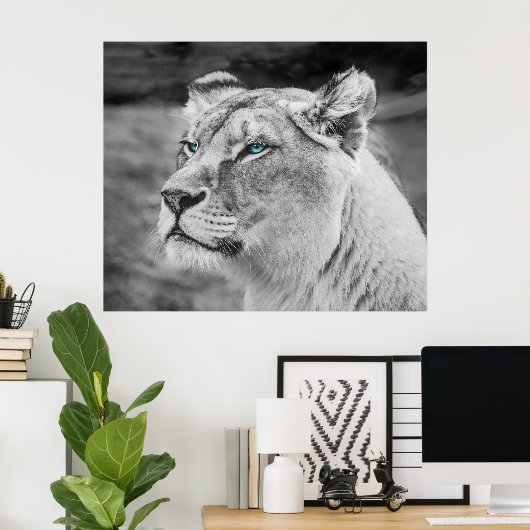 Verbluffende leeuwen met blauwe ogen poster (Thuiskantoor)