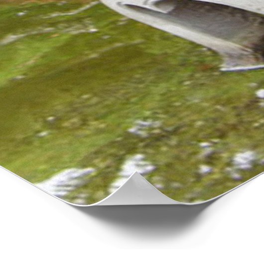 Verbluffende medaille poster (Hoek)