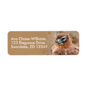 Verbluffende noordelijke Harrier Hawk in Marshes Etiket (Voorkant)