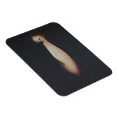 Verbluffende olieverfschilderij Siamese kat Magneet (Rechterzijde)