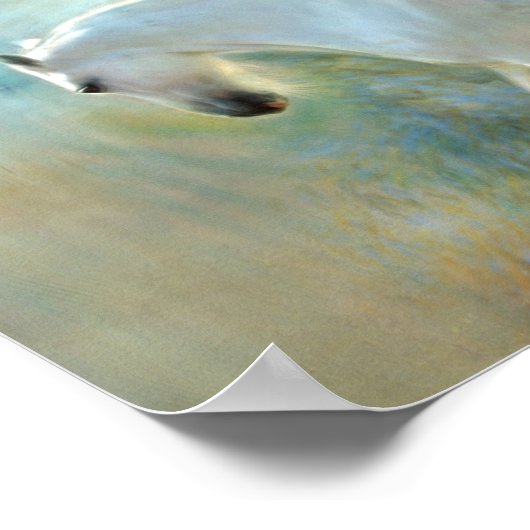 Verbluffende ontkoppeling van Pegasus-paarden Poster (Hoek)