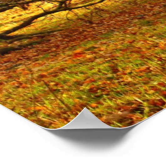 Verbluffende oude eikenbomen in Schotland Poster (Hoek)