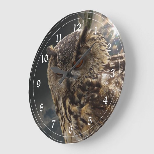 Verbluffende owl fotografie-reeks grote klok (Hoek)