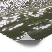 Verbluffende pelikaan in water poster (Hoek)