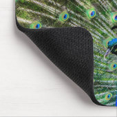 Verbluffende peracock en veren foto-accessoires muismat (Hoek)