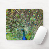Verbluffende peracock en veren foto-accessoires muismat (Met muis)