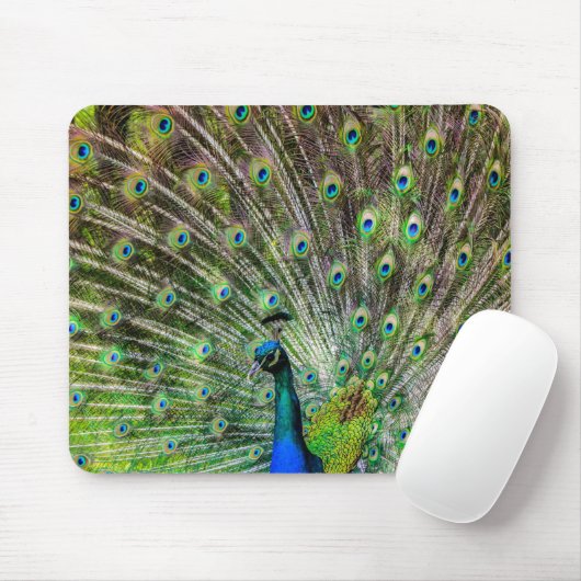 Verbluffende peracock en veren foto-accessoires muismat (Met muis)