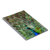 Verbluffende peracock en veren foto-accessoires notitieboek (Rechterzijde)