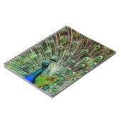 Verbluffende peracock en veren foto-accessoires notitieboek (Linkerzijde)