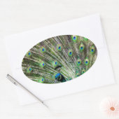 Verbluffende peracock en veren foto-accessoires ovale sticker (Envelop)