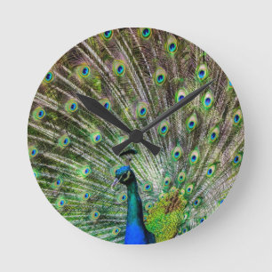 Verbluffende peracock en veren foto-accessoires ronde klok