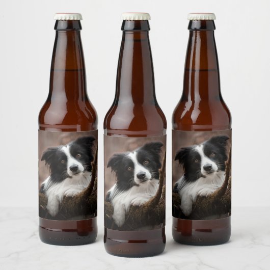 Verbluffende rand collie-portret bier etiket (Flessen)