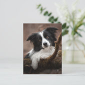 Verbluffende rand collie-portret briefkaart (Staand voorkant)