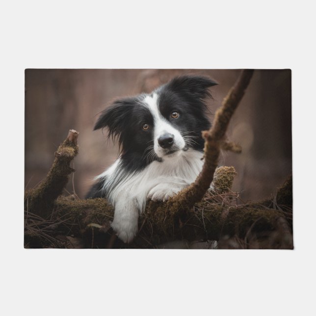 Verbluffende rand collie-portret deurmat (Voorkant)