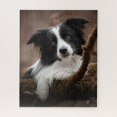Verbluffende rand collie-portret legpuzzel (Verticaal)