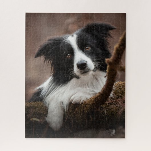 Verbluffende rand collie-portret legpuzzel (Verticaal)