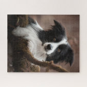 Verbluffende rand collie-portret legpuzzel (Horizontaal)