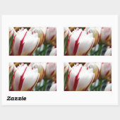 Verbluffende rode en witte tulp print rechthoekige sticker (Vel)