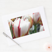 Verbluffende rode en witte tulp print rechthoekige sticker (Envelop)