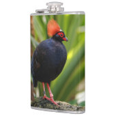 Verbluffende Rol-Roul Crested Wood Partridge Bird Heupfles (Links)