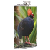 Verbluffende Rol-Roul Crested Wood Partridge Bird Heupfles (Rechts)