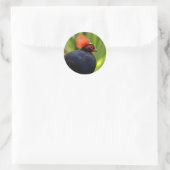 Verbluffende Rol-Roul Crested Wood Partridge Bird Ronde Sticker (Tas)