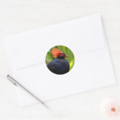 Verbluffende Rol-Roul Crested Wood Partridge Bird Ronde Sticker (Envelop)
