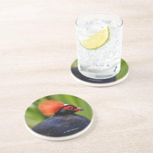 Verbluffende Rol-Roul Crested Wood Partridge Bird Zandsteen Onderzetter