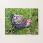 Verbluffende Rood-Shafted Northern Flicker op het  Legpuzzel (Horizontaal)