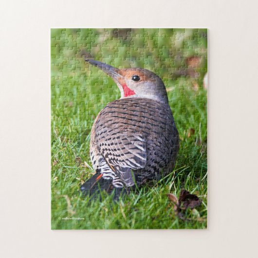 Verbluffende Rood-Shafted Northern Flicker op het  Legpuzzel (Verticaal)