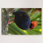 Verbluffende Roul-Roul Crested Wood Partridge Legpuzzel (Horizontaal)