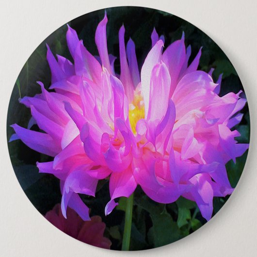 Verbluffende roze en Paarse Cactus Dahlia Ronde Button 6,0 Cm (Voorkant)