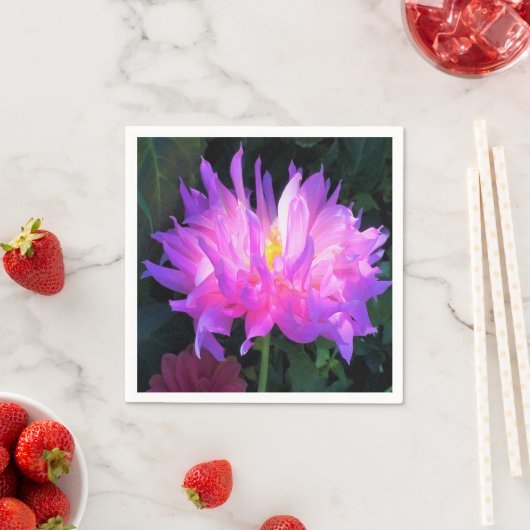 Verbluffende roze en Paarse Cactus Dahlia Servet (Insitu)