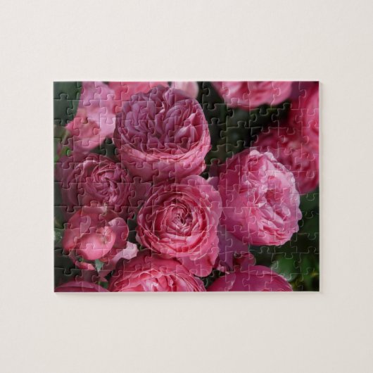 Verbluffende roze rozen legpuzzel (Horizontaal)