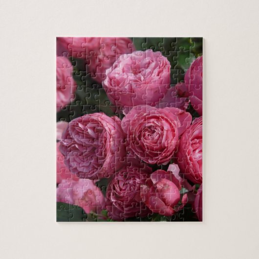 Verbluffende roze rozen legpuzzel (Verticaal)