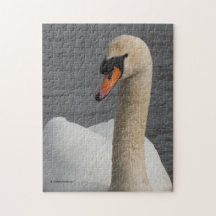 Verbluffende sluiting van een Stomme Swan in Harbo