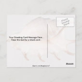 Verbluffende spineconch briefkaart (Achterkant)