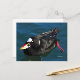 Verbluffende Surf schokdemper op Pier's rand Briefkaart