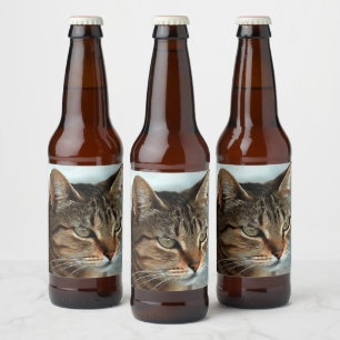 Verbluffende tabby Cat Close Artistic Portrait Bier Etiket