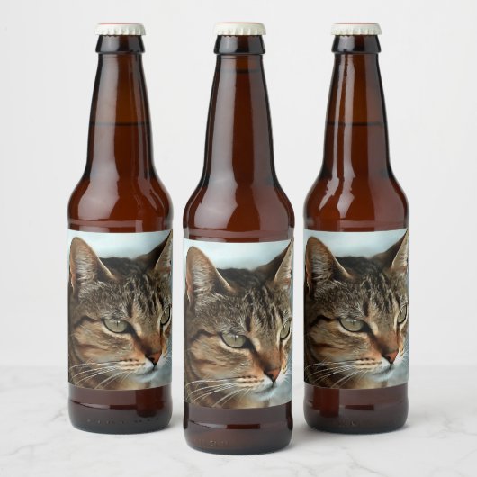 Verbluffende tabby Cat Close Artistic Portrait Bier Etiket (Flessen)