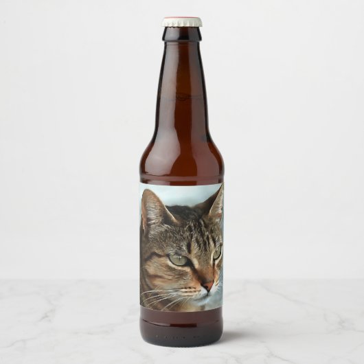 Verbluffende tabby Cat Close Artistic Portrait Bier Etiket (Voorkant)