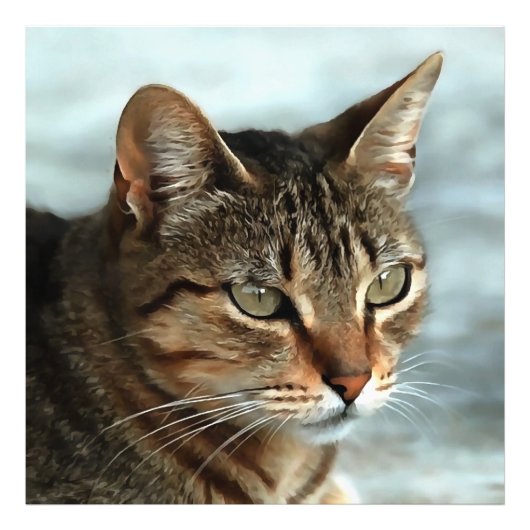 Verbluffende tabby Cat Close Artistic Portrait Foto Afdruk (Voorkant)
