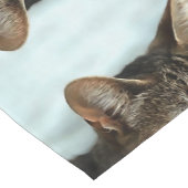 Verbluffende tabby Cat Close Artistic Portrait Korte Tafelloper (Hoek)