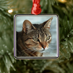 Verbluffende tabby Cat Close Artistic Portrait Metalen Ornament